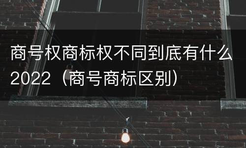 商号权商标权不同到底有什么2022（商号商标区别）