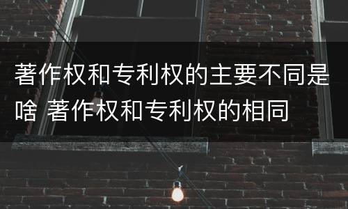 著作权和专利权的主要不同是啥 著作权和专利权的相同