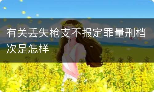 有关丢失枪支不报定罪量刑档次是怎样