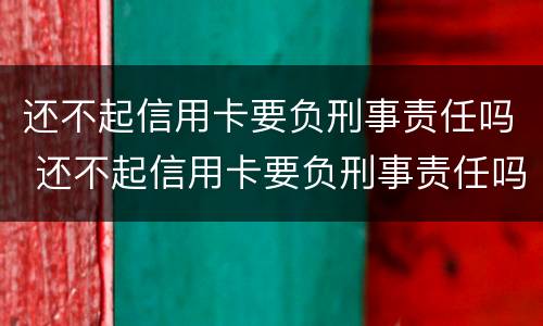 还不起信用卡要负刑事责任吗 还不起信用卡要负刑事责任吗怎么办