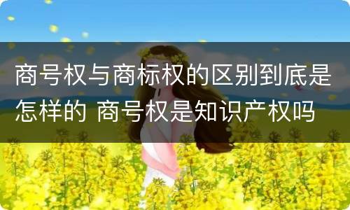 商号权与商标权的区别到底是怎样的 商号权是知识产权吗 商号权与商标权的区别到底是怎样的 商号权是知识产权吗