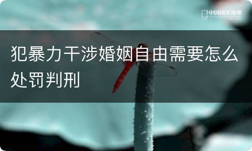 犯暴力干涉婚姻自由需要怎么处罚判刑