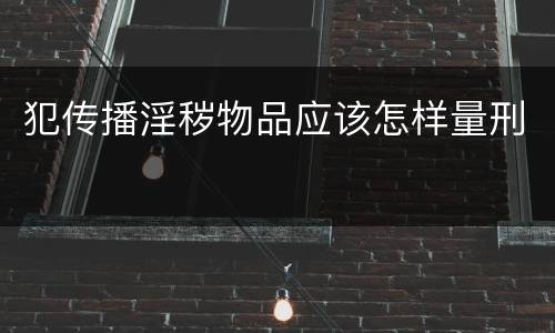 犯传播淫秽物品应该怎样量刑