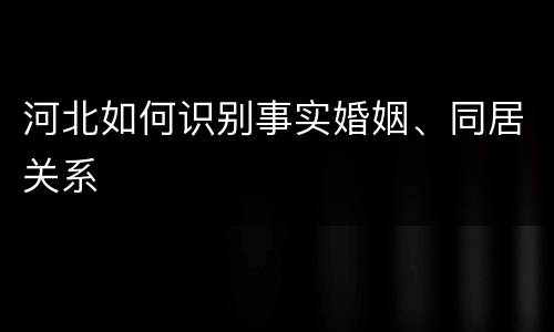 河北如何识别事实婚姻、同居关系