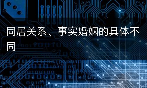 同居关系、事实婚姻的具体不同