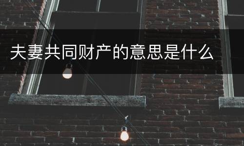 夫妻共同财产的意思是什么
