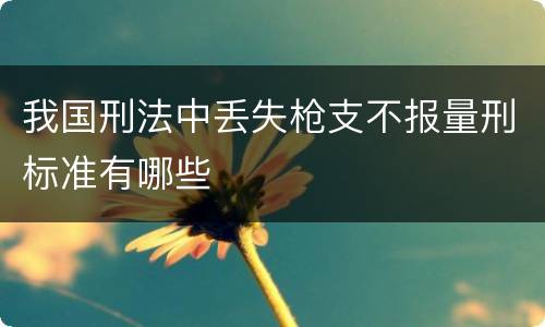 我国刑法中丢失枪支不报量刑标准有哪些