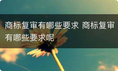 商标复审有哪些要求 商标复审有哪些要求呢