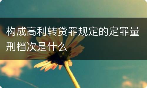 构成高利转贷罪规定的定罪量刑档次是什么