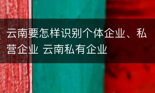 云南要怎样识别个体企业、私营企业 云南私有企业