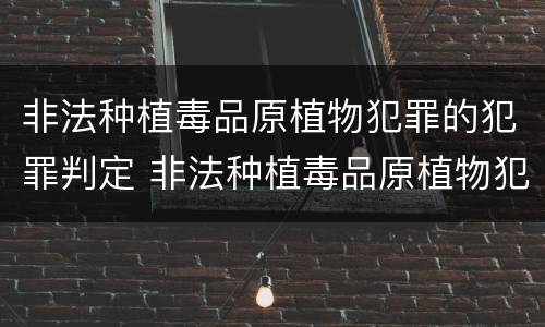 非法种植毒品原植物犯罪的犯罪判定 非法种植毒品原植物犯罪的犯罪判定标准