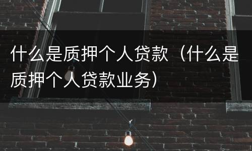 什么是质押个人贷款（什么是质押个人贷款业务）