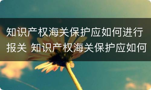 知识产权海关保护应如何进行报关 知识产权海关保护应如何进行报关申报