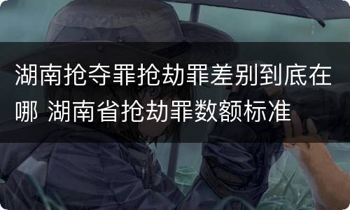 湖南抢夺罪抢劫罪差别到底在哪 湖南省抢劫罪数额标准
