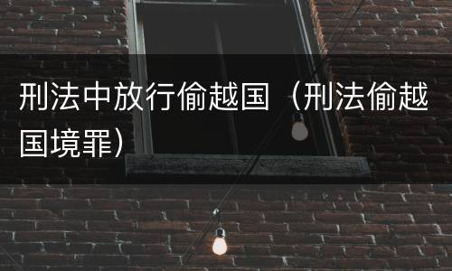 刑法中放行偷越国（刑法偷越国境罪）