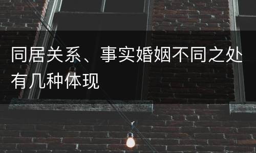 同居关系、事实婚姻不同之处有几种体现