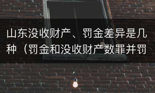 山东没收财产、罚金差异是几种（罚金和没收财产数罪并罚）