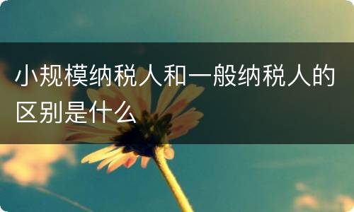 小规模纳税人和一般纳税人的区别是什么