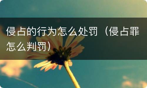 侵占的行为怎么处罚（侵占罪怎么判罚）