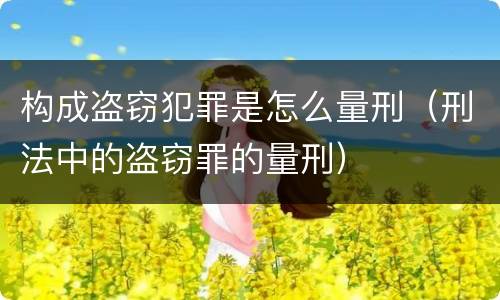 构成盗窃犯罪是怎么量刑（刑法中的盗窃罪的量刑）