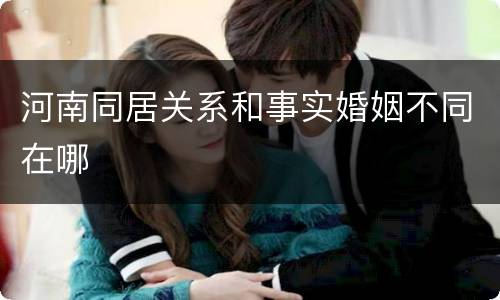 河南同居关系和事实婚姻不同在哪