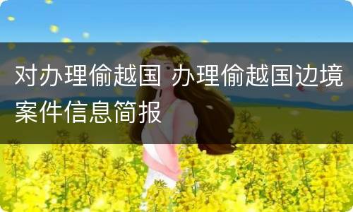 对办理偷越国 办理偷越国边境案件信息简报