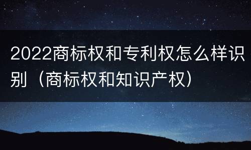 2022商标权和专利权怎么样识别（商标权和知识产权）