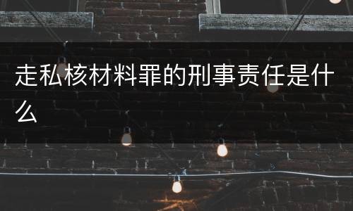 走私核材料罪的刑事责任是什么