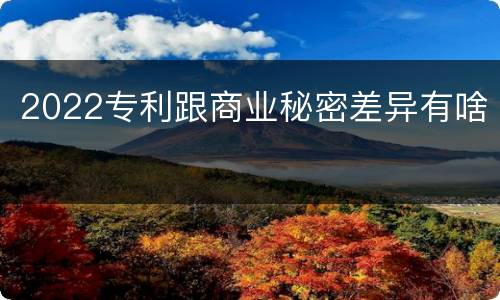 2022专利跟商业秘密差异有啥