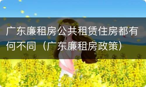 广东廉租房公共租赁住房都有何不同(广东廉租房政策)