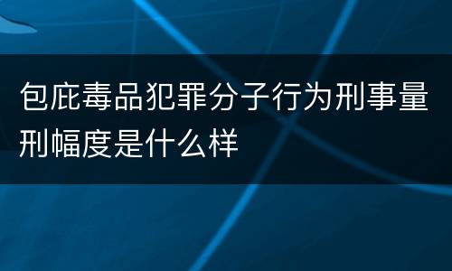 包庇毒品犯罪分子行为刑事量刑幅度是什么样
