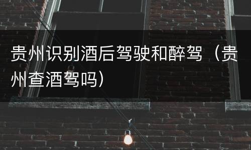 贵州识别酒后驾驶和醉驾（贵州查酒驾吗）