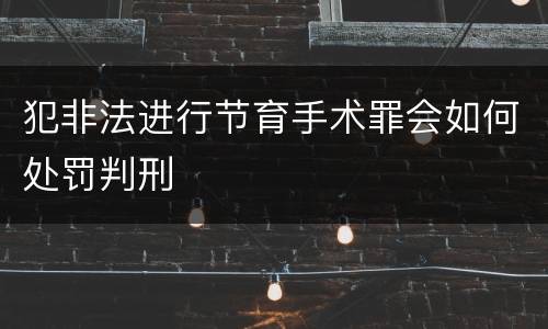 犯非法进行节育手术罪会如何处罚判刑