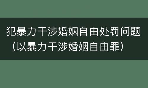 犯暴力干涉婚姻自由处罚问题（以暴力干涉婚姻自由罪）