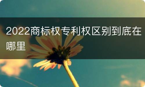 2022商标权专利权区别到底在哪里