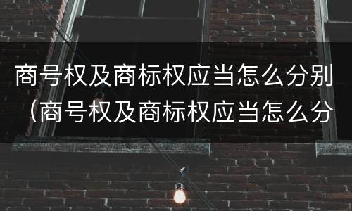 商号权及商标权应当怎么分别（商号权及商标权应当怎么分别确定）