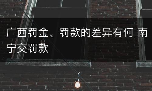 广西罚金、罚款的差异有何 南宁交罚款