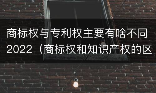 商标权与专利权主要有啥不同2022（商标权和知识产权的区别）