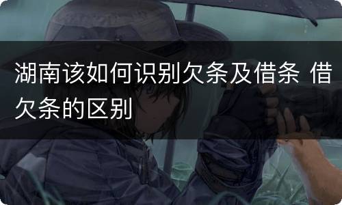 湖南该如何识别欠条及借条 借欠条的区别