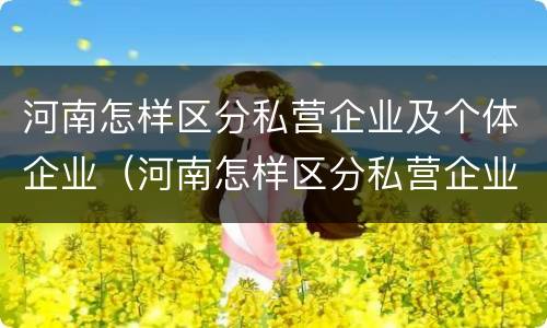 河南怎样区分私营企业及个体企业（河南怎样区分私营企业及个体企业名单）