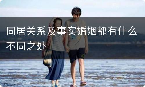 同居关系及事实婚姻都有什么不同之处