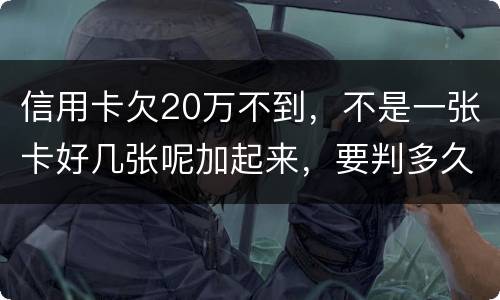 信用卡欠20万不到，不是一张卡好几张呢加起来，要判多久