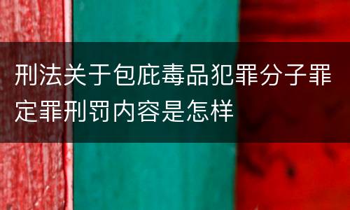 刑法关于包庇毒品犯罪分子罪定罪刑罚内容是怎样