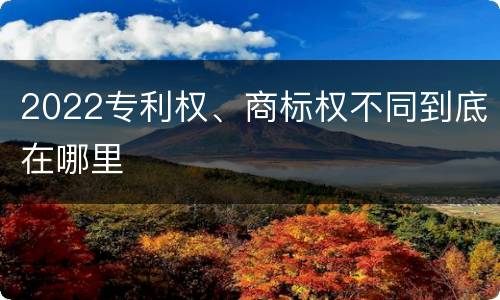 2022专利权、商标权不同到底在哪里