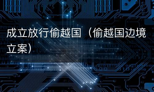 成立放行偷越国（偷越国边境立案）