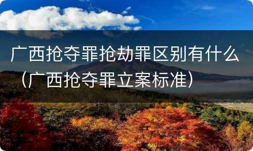 广西抢夺罪抢劫罪区别有什么（广西抢夺罪立案标准）