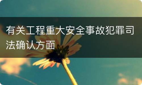 有关工程重大安全事故犯罪司法确认方面