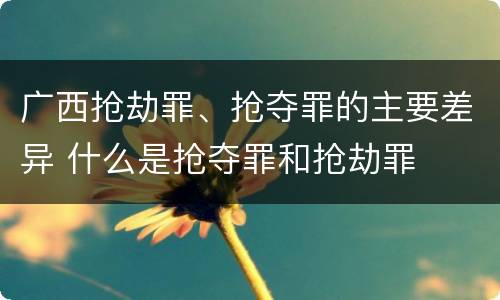 广西抢劫罪、抢夺罪的主要差异 什么是抢夺罪和抢劫罪