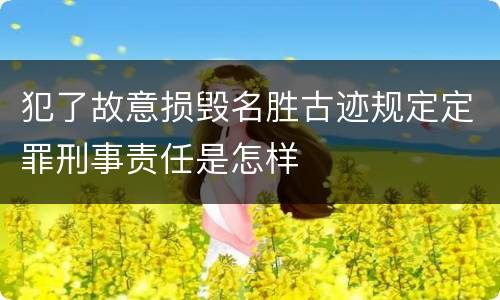 犯了故意损毁名胜古迹规定定罪刑事责任是怎样