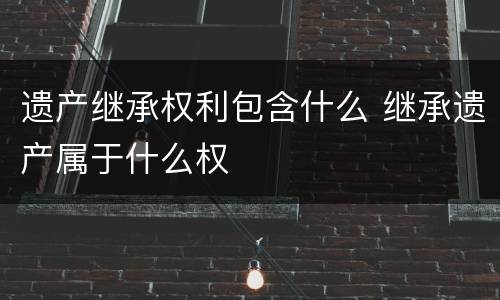 遗产继承权利包含什么 继承遗产属于什么权